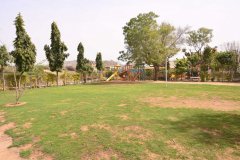 APD_5775